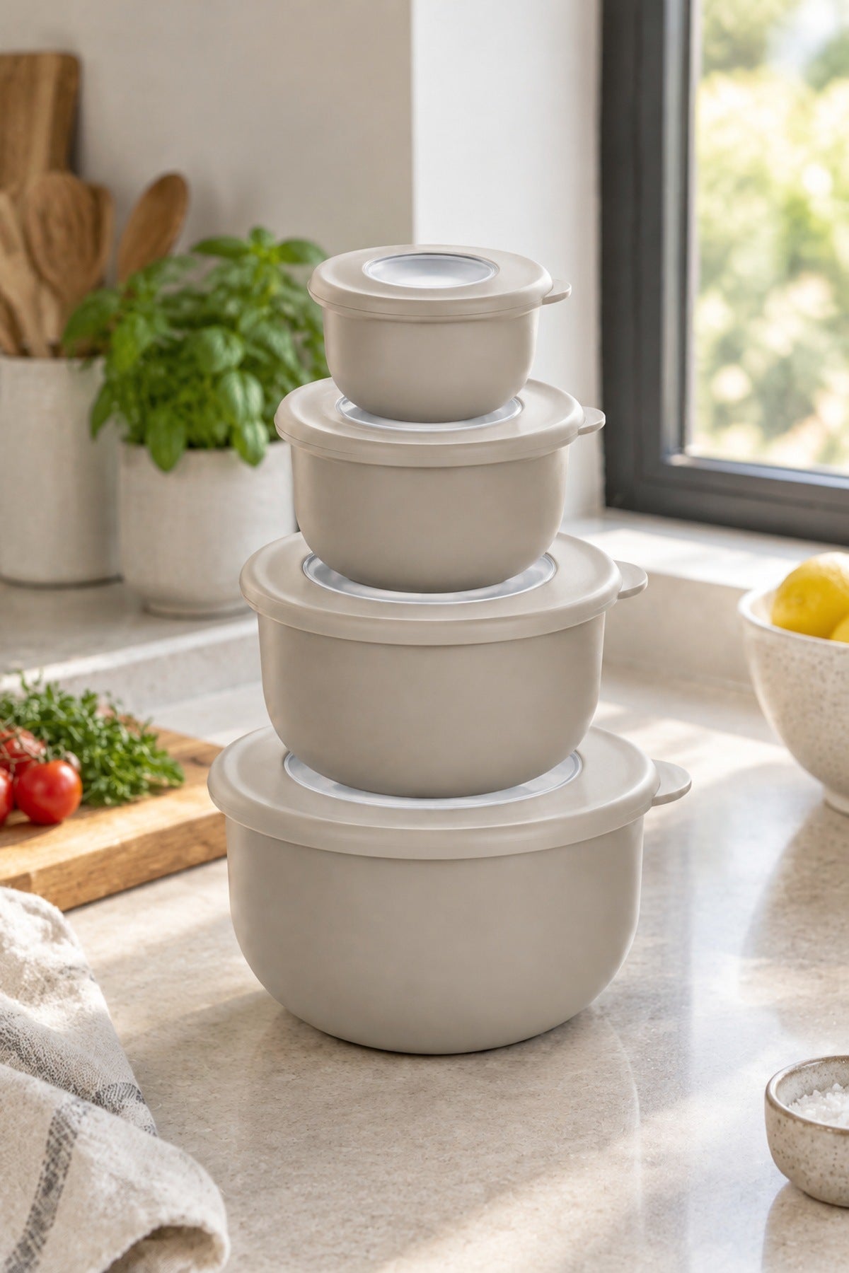 4'lü Kapaklı Kase Saklama Kabı Seti 900 500 250 100 ml Pencereli Kapak